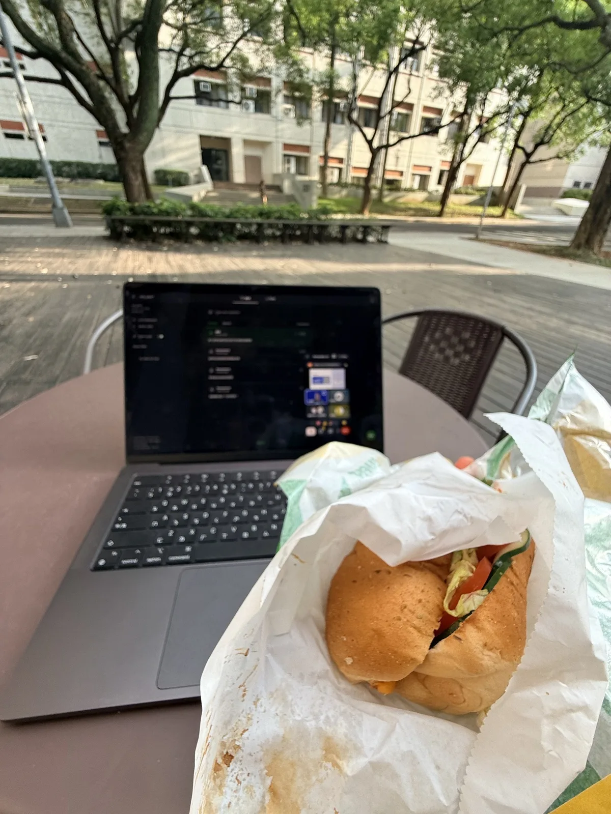 7 月 23 日傍晚，在戶外用餐時持續修改實驗腳本