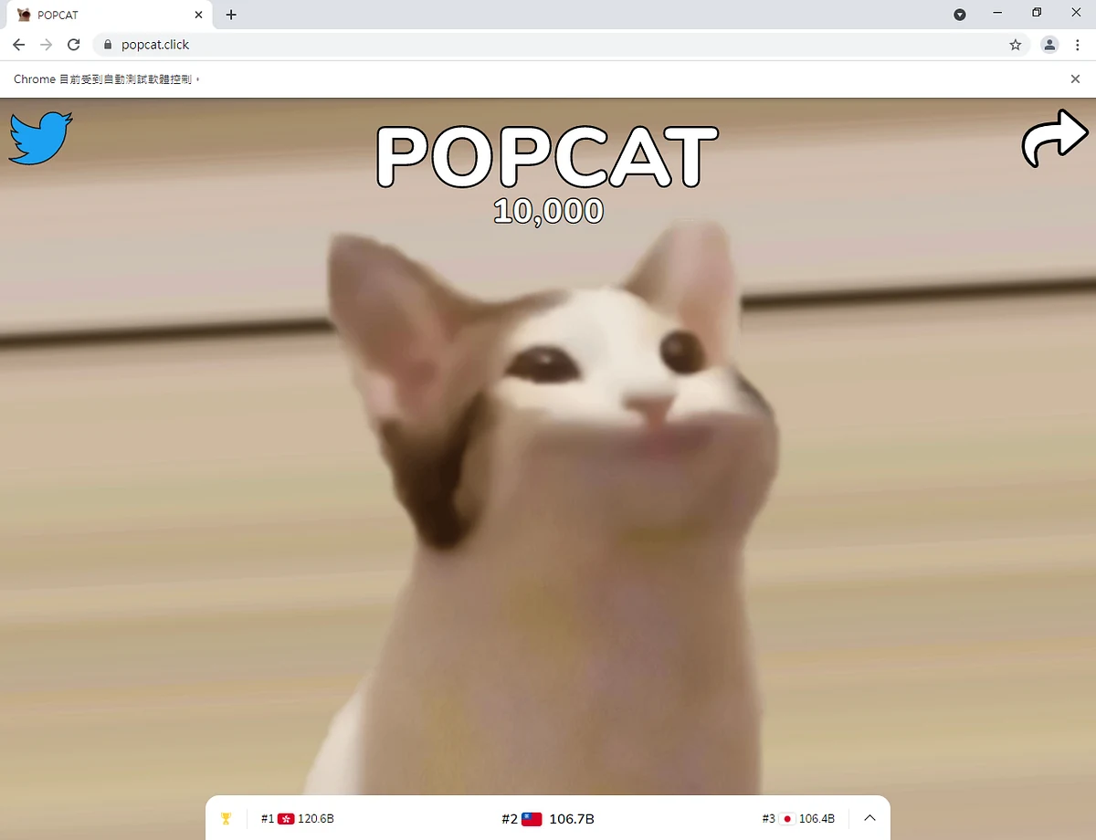 POPCAT 點擊到10000次(來源:https://popcat.click/)