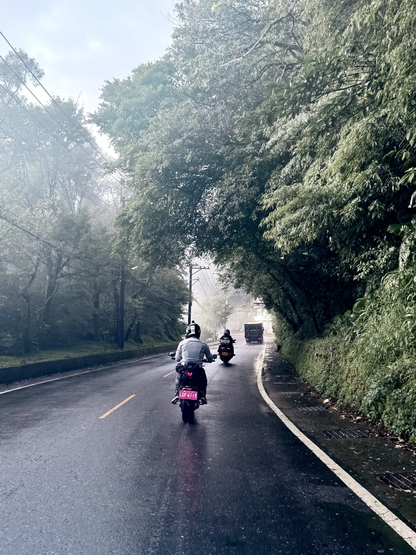 回程途經北宜公路，雨後起霧的山路